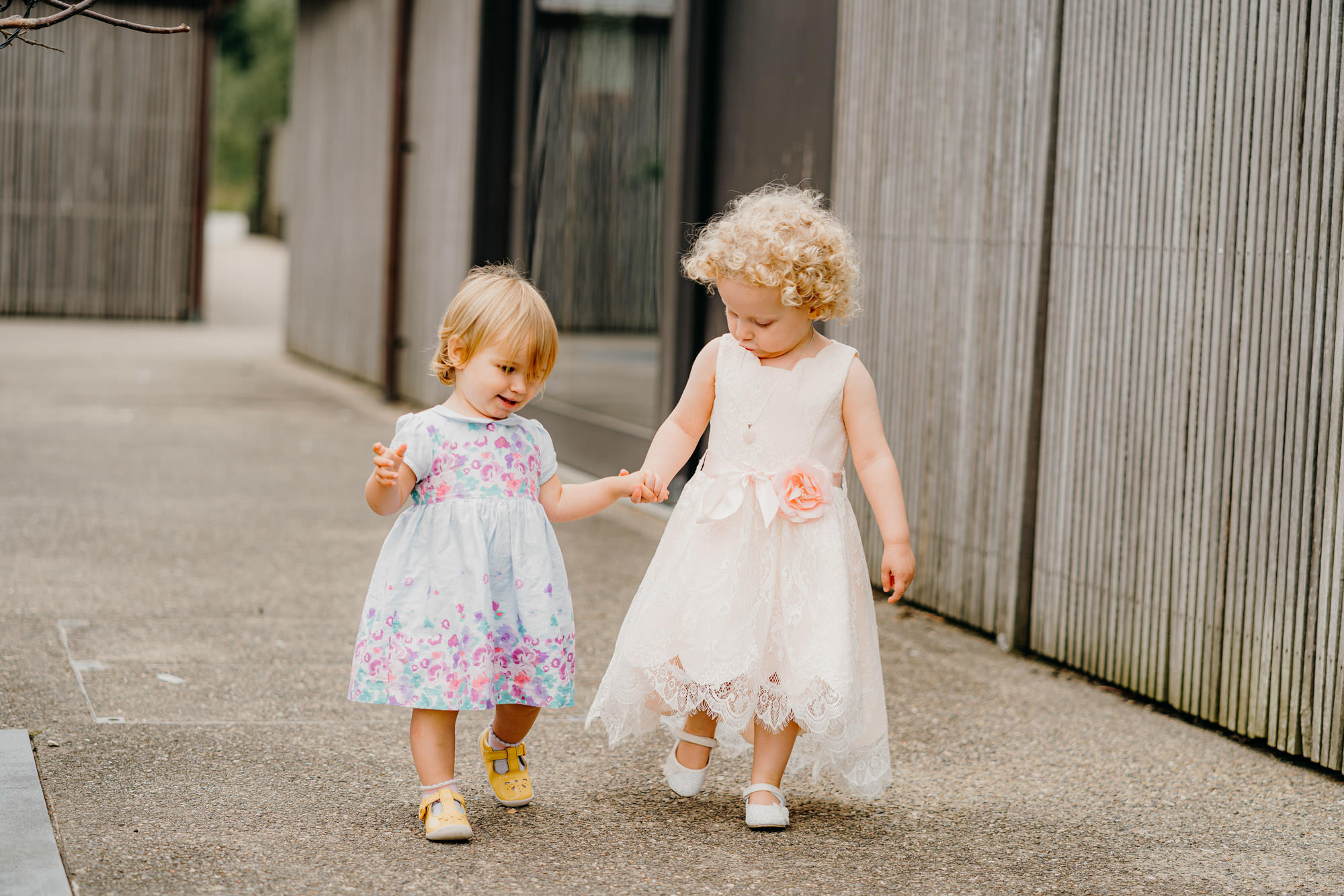 Wedding photos at Brockholes Nature Reserve