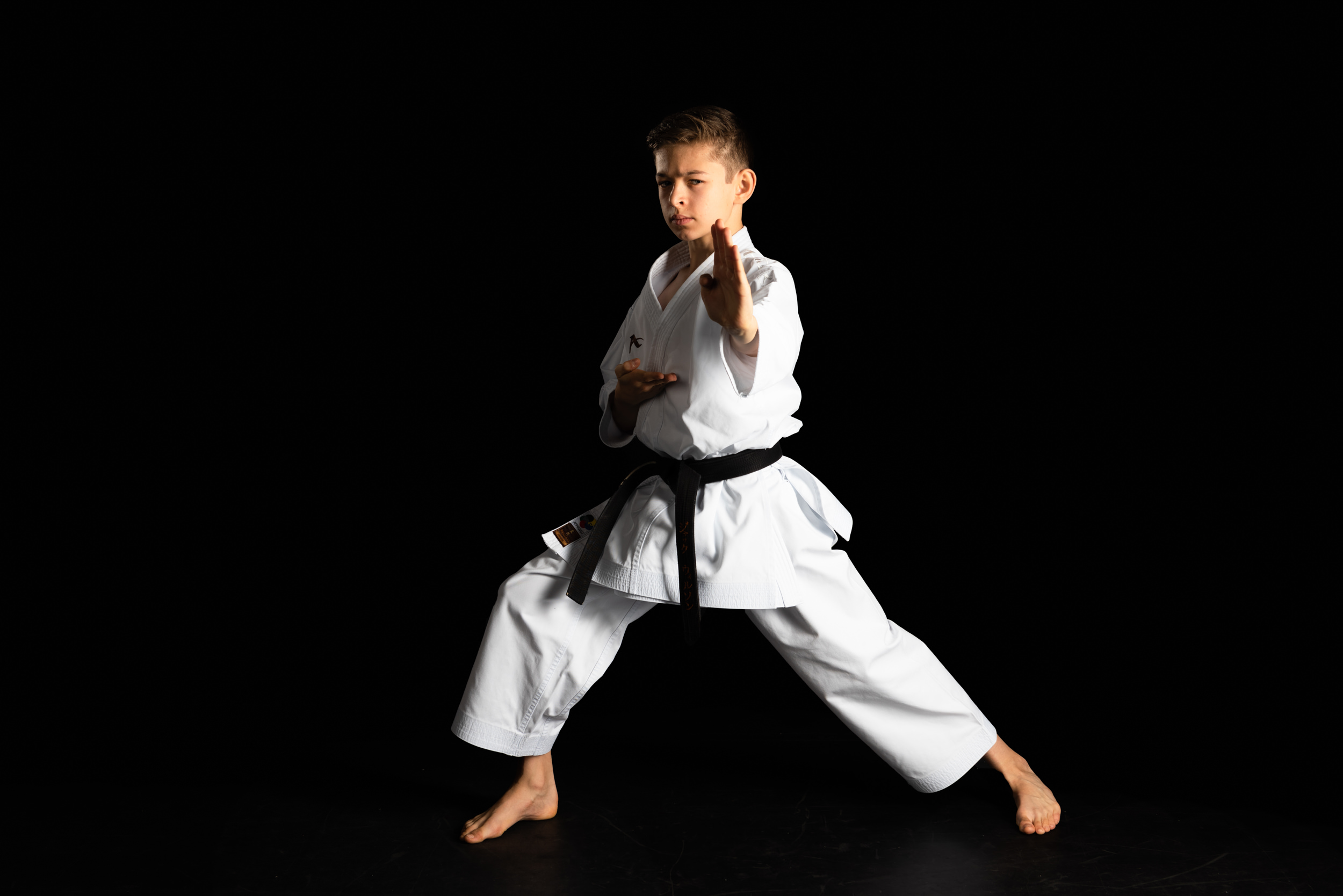 Martial Arts portraiture