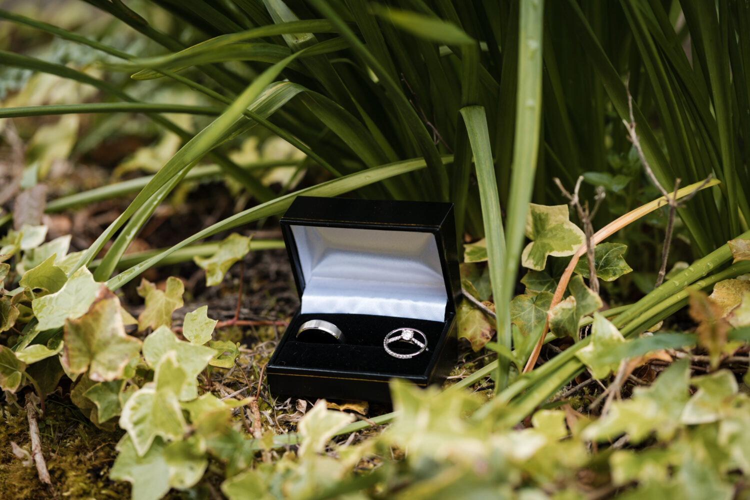 The Wedding rings