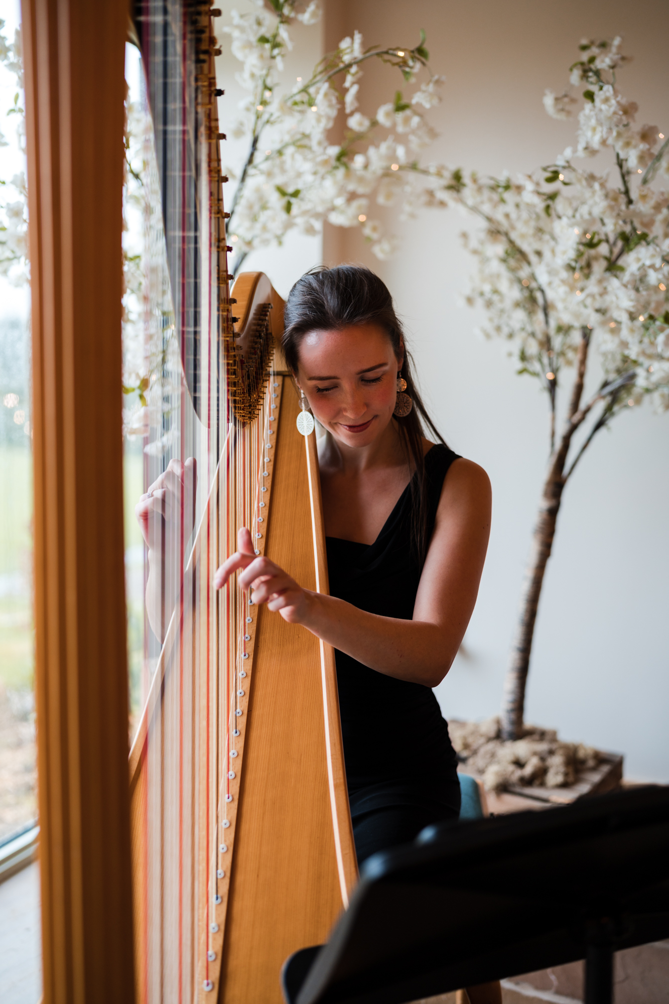 Harpist playing her harp at Hobbit Hill