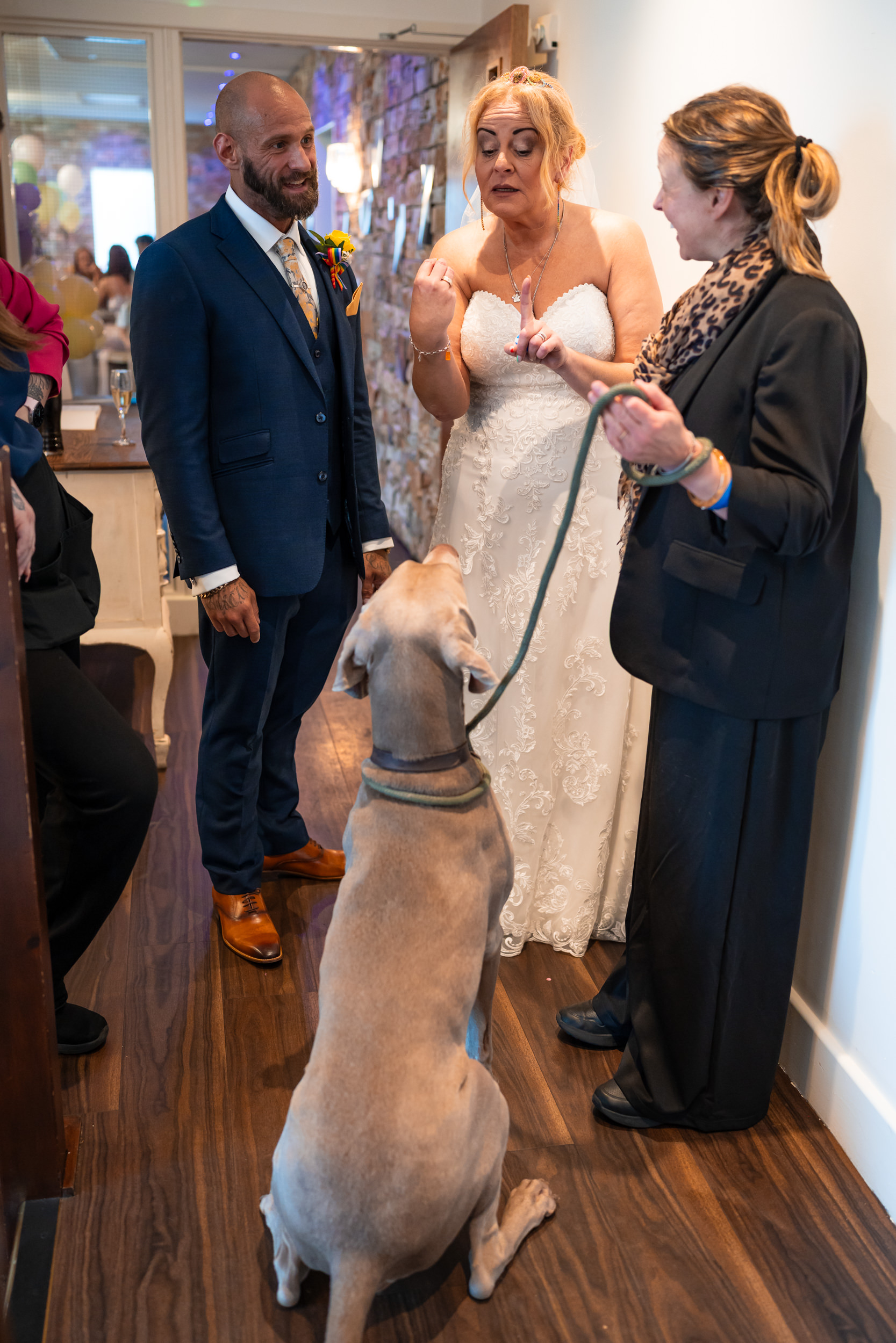Bride and groom with a vising dog.